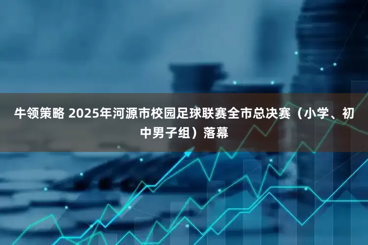 牛领策略 2025年河源市校园足球联赛全市总决赛（小学、初中男子组）落幕